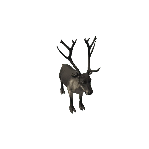 Reindeer_RM_FV_SHP (1)